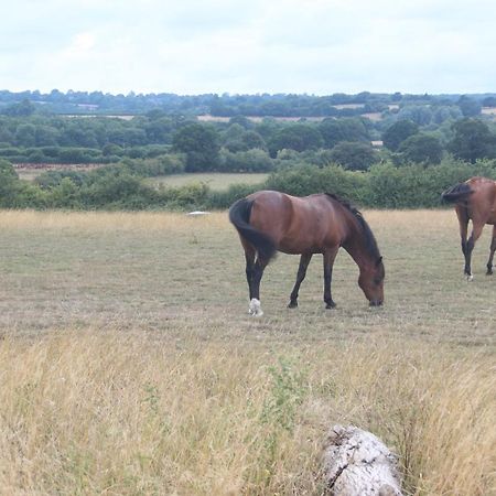 Mapperton Hill Farm Bed & Breakfast Mere  Bagian luar foto